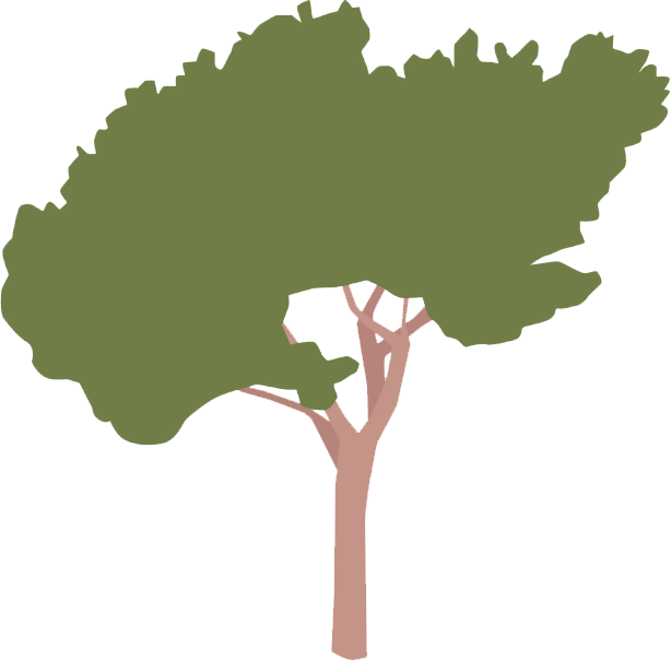 De Slaapgids | Slaapcoach | Workshops & Trainingen voor duurzame inzetbaarheid | Arnhem